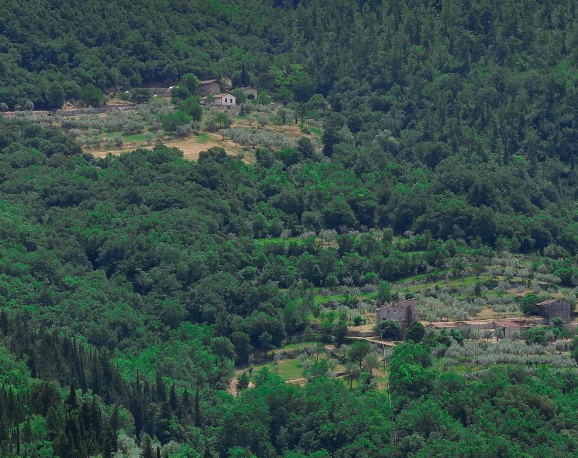 Villa Ancora Tenuta Lonciano Gualdo  Exteriör bild